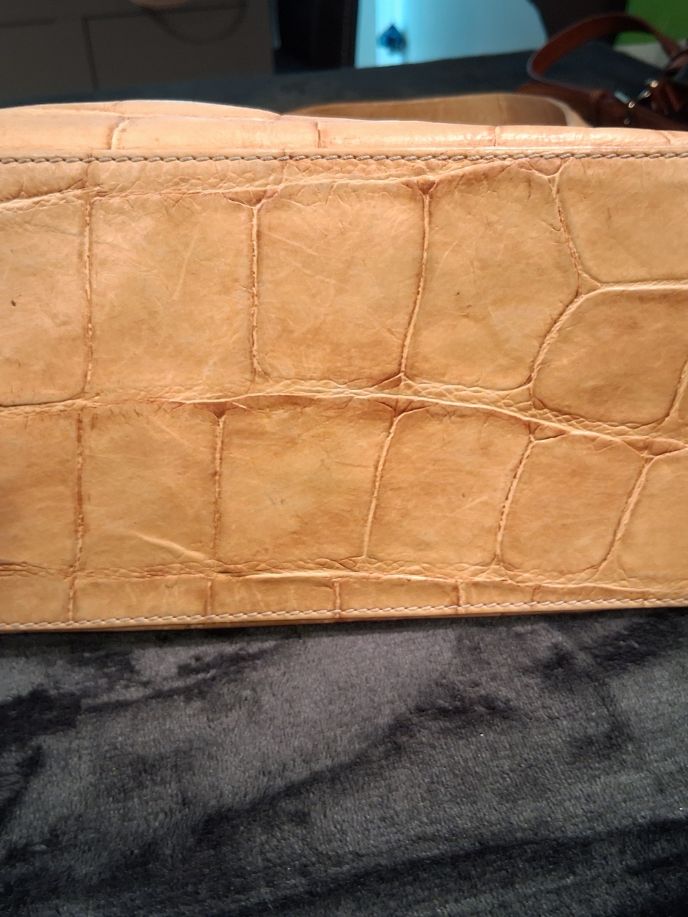 Dooney And Bourke Beige Croc-Embossed Shoulder Bag with Silver-Tone Hardware - Picture 3 of 9